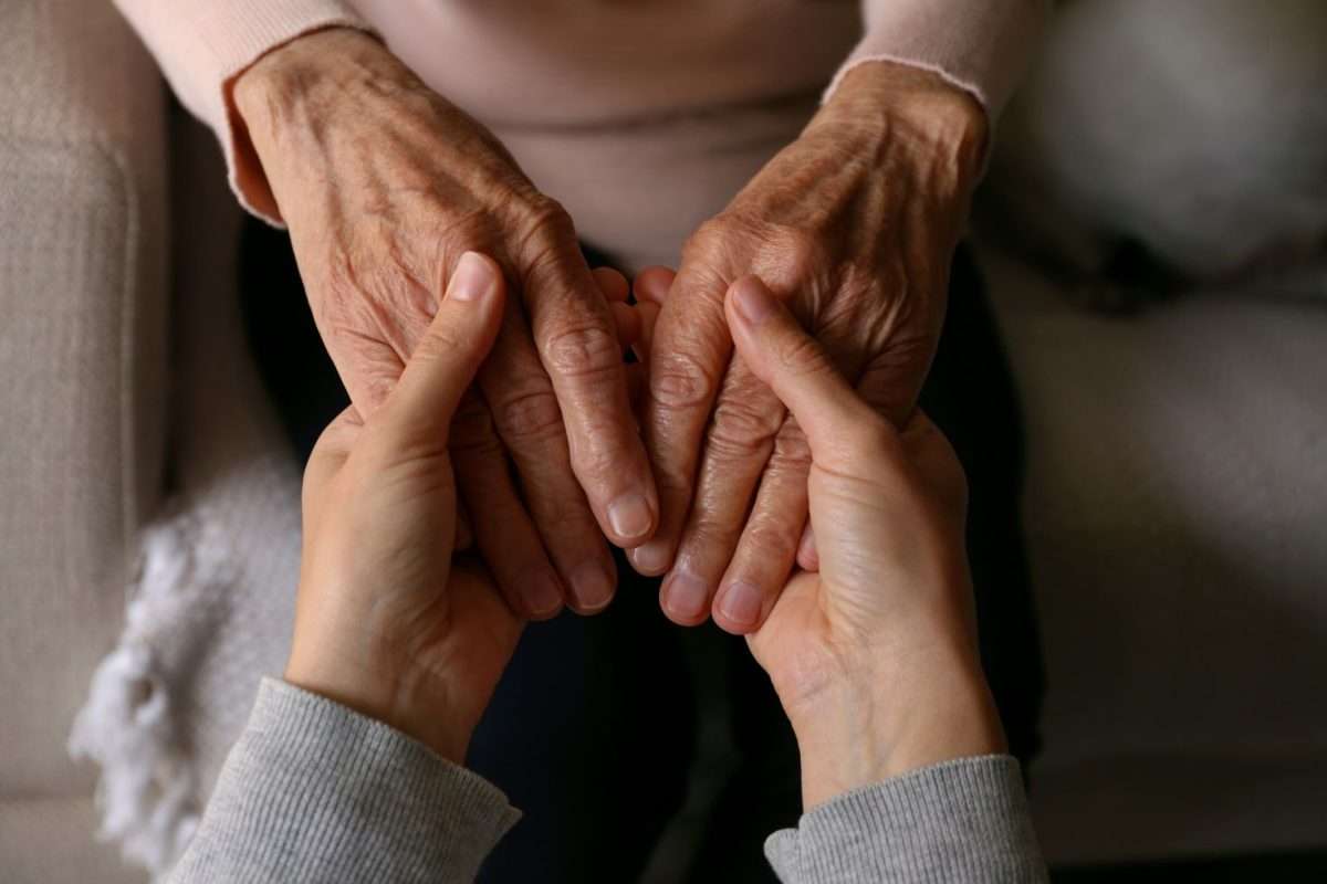 What are 4 types of caregivers